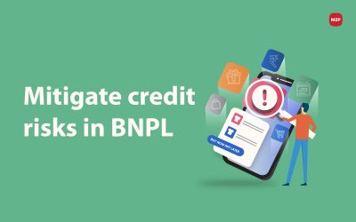 Mitigate Credit Risks in BNPL