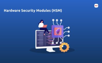 Cryptographic Keys and Hardware Security Modules -An Introduction